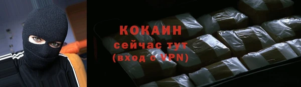 mdpv Инсар