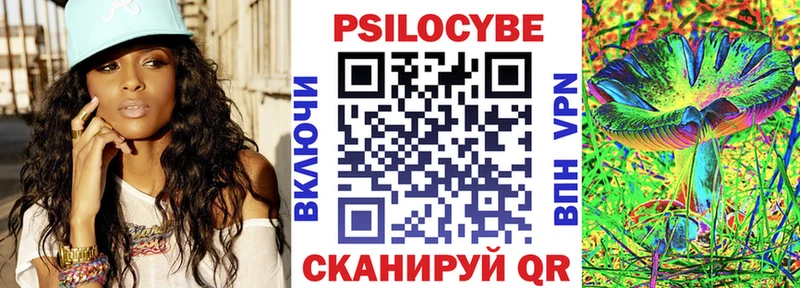 Псилоцибиновые грибы Cubensis  Кингисепп 